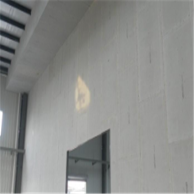 彭泽新型建筑材料掺多种工业废渣的ALC|ACC|FPS模块板材轻质隔墙板